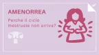 Amenorrea: quali sono le cause? - Infografica