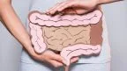 Che cosa si intende per asse intestino-cervello?