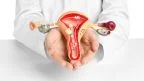 Escrescenze vaginali: papille fisiologiche o condilomi?