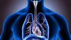 Fibrosi cistica apparato respiratorio.