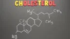 Cos'è il colesterolo?