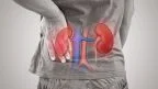 Pressione alta e reni: l'ipertensione arteriosa causa di insufficienza renale?
