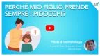 Pidocchi riconoscerli eliminarli video griselli.