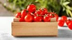 Pomodoro licopene benefici prostata.