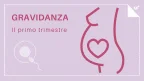 Gravidanza: il primo trimestre - infografica
