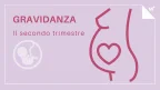 Secondo trimestre gravidanza infografica.