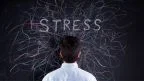 Stress causa ipertensione.