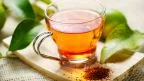 Il Tè rosso Rooibos: proprietà e benefici