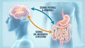 Diagramma medico stilizzato che mostra la comunicazione bidirezionale tra il cervello umano e l'intestino, con evidenza del ruolo del microbiota.