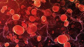 Ematologo cura le malattie del sangue
