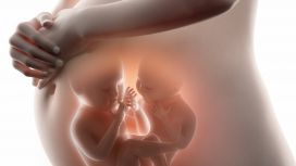 gravidanza a rischio gemellare