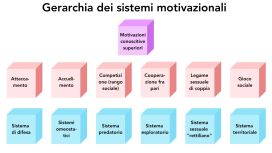 gerarchia sistemi motivazionali