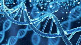 Tratto di cromosoma nel DNA