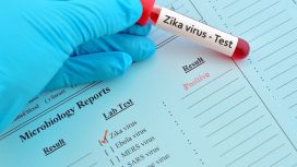 zika virus rischi gravidanza