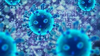 News e aggiornamenti sul Coronavirus
