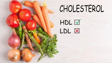 Cosa sono il colesterolo buono e il colesterolo cattivo