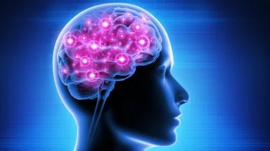 Nel labirinto del cervello: connettoma e nuove strategie terapeutiche