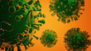 coronavirus