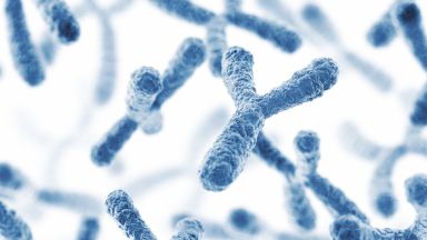 Cromosoma y sequenziato