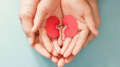 Donazione di organi: importanza della scelta