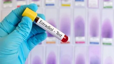 L’estradiolo, ormone fondamentale per la fertilità e la sessualità maschile