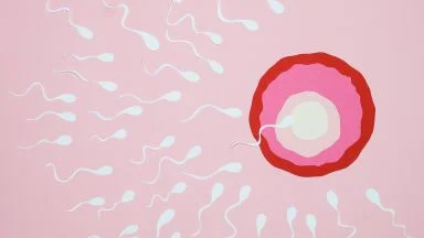 Sperma, età di un uomo e PMA