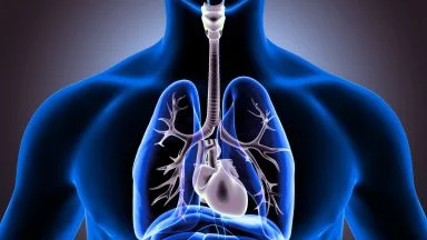 Fibrosi cistica apparato respiratorio.