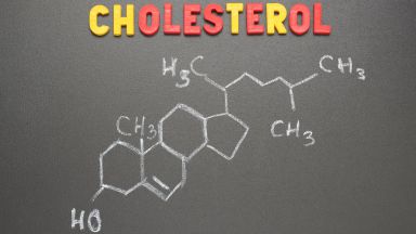 Il colesterolo