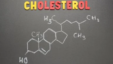Il colesterolo.