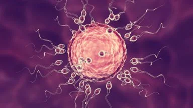 Il percorso diagnostico per l’infertilità maschile. Nuovi orientamenti