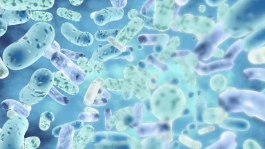 Il microbioma seminale e l'infertilità di coppia