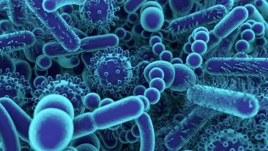 L'importanza del microbiota