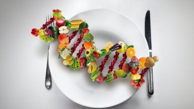 alimentazione