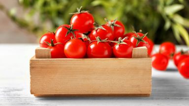 pomodoro licopene benefici prostata