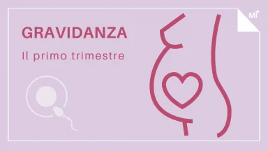 Primo trimestre gravidanza infografica.