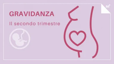 Secondo trimestre gravidanza infografica.