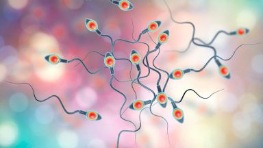 testicoli complicanze covid
