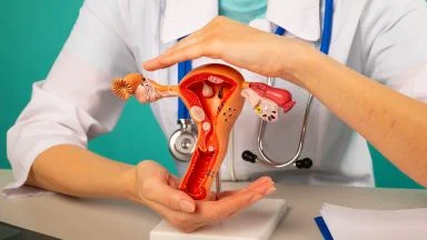 Vagina vulva patologie.