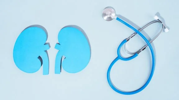 Come mantenere in salute i tuoi reni?