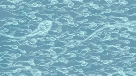 Sperma trasparente ed acquoso: possibili cause