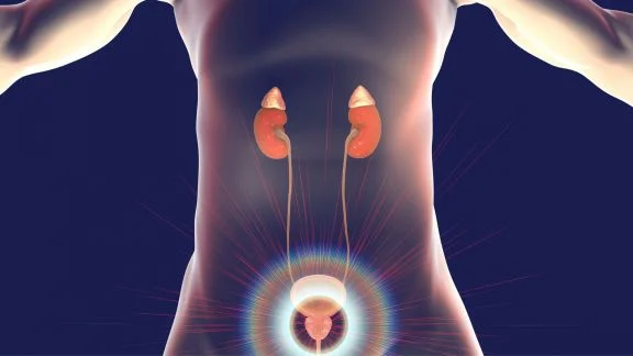 Tumore prostata fattori rischio prevenzione.