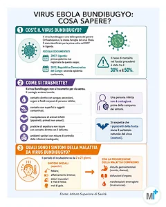 Virus Bundibugyo: cos'&egrave;, sintomi, diffusione - infografica