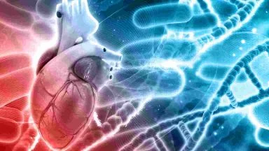 Addio ai problemi di colesterolo, se mangi queste cose per 48 ore starai molto meglio