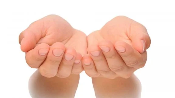 maniprudonomedicitalia