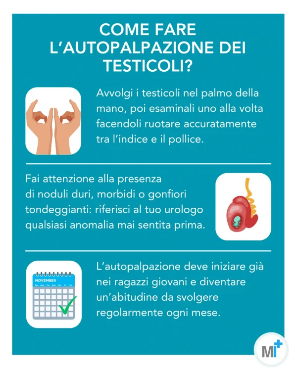 Come fare l'autopalpazione dei testicoli