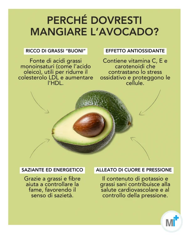 Avocado: benefici e propriet&agrave; - infografica