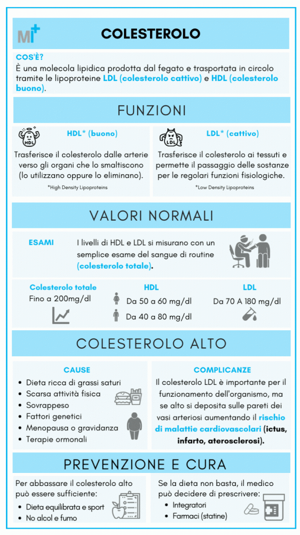 Colesterolo: infografica completa